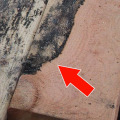 Does Water Damage Show Up Right Away?