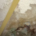 What happens after water damage?