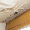 How Long Does Water Damage Take to Show on Ceiling?