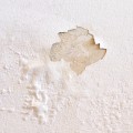 How do you get rid of water damage on walls?