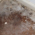 How Long Does it Take for Water Damage to Show?