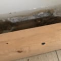 How to Detect Water Damage in Your Home