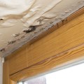 Is Water Damage Immediate? How to Minimize Damage and Restore Your Home
