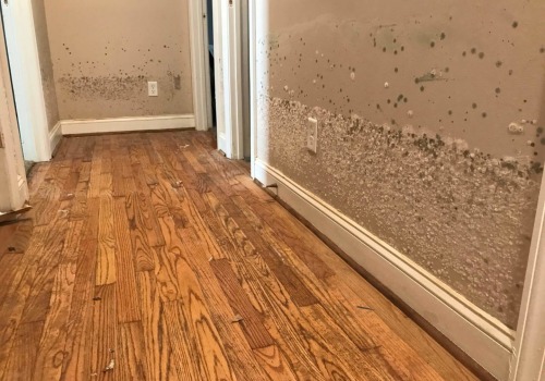 How Long Does it Take for Water to Damage Floors?