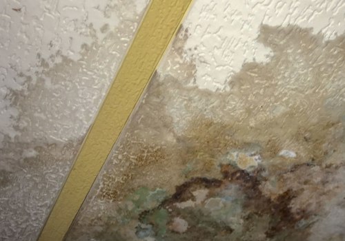 What happens after water damage?